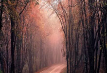 多古：C罗很聪明，他知道如何造点；我并没有拉他很长时间.