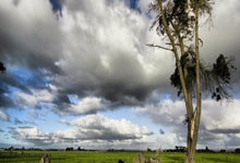 消除“马拉松怨言”，需倡导更健康的跑步文.