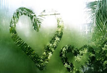 2030年世界杯或扩军至64支中新体坛.