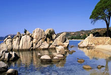 💣平地起惊雷！穆迪突破长臂轻舒 战斧隔扣米西！.